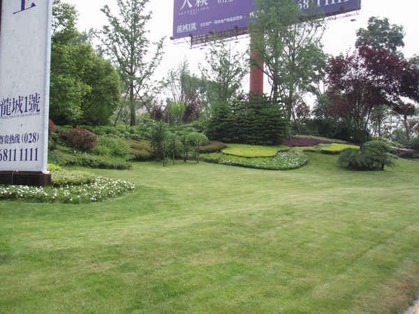 ����һ��
